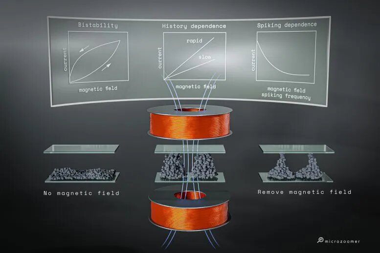 نسل جدید مواد که حافظه‌ای چون سیستم‌های زنده دارند