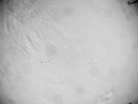 هلیکوپتر ناسا رکورد شکست!