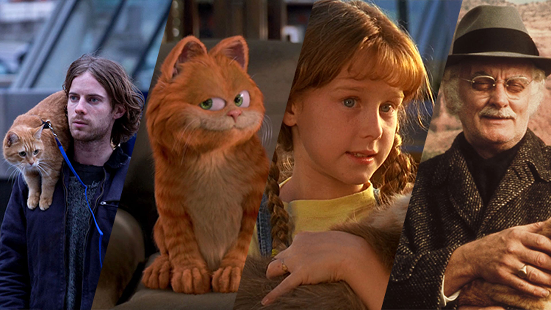 آخر هفته چه فیلمی ببینیم: چهار اثر برای افراد علاقهمند به گربهها