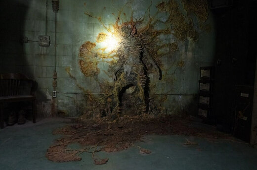 آیا قارچهای سریال The Last of Us واقعی هستند و میتوانند روزی انسانها را آلوده کنند؟