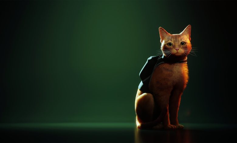 افزایش کمک به گربههای در معرض خطر به لطف محبوبیت بازی Stray