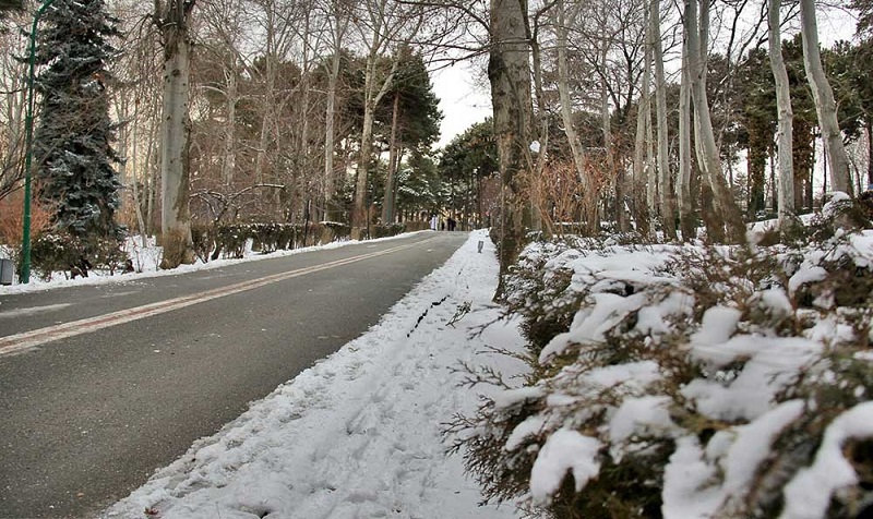 سعدآباد برفی، منبع: خبرآنلاین