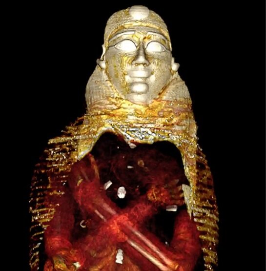 راز «پسر طلایی» چطور فاش شد؟ / عکس