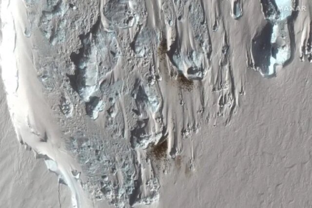 کشفی شگفت‌انگیز با رصد مدفوع پنگوئن‌ها از فضا / عکس