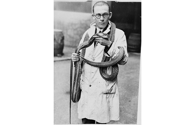 رکوردداران دنیای مارها | شاه مار کبری 5.7 متری و یا آناکوندای سبز 227 کیلوگرمی