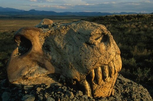 شروع بزرگ‌ترین انقراض تاریخ زمین با تخریب لایه اوزون