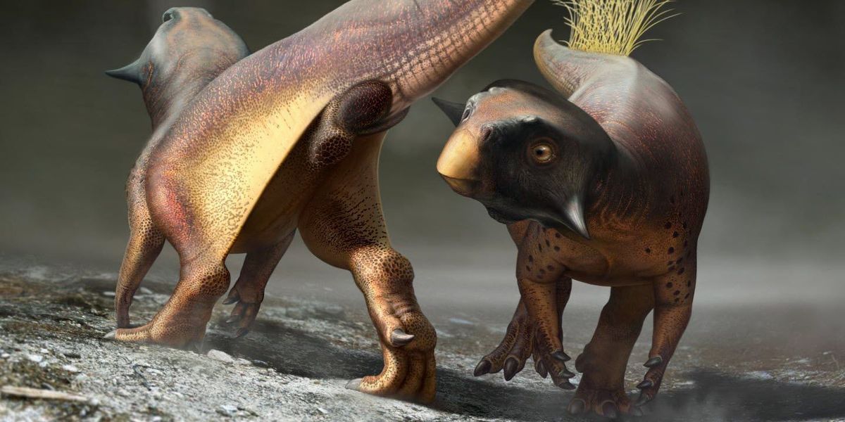 عکس | زنده کردن یک دایناسور در تکنیکالر!