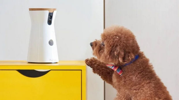 دوربین مخصوص سگ Furbo