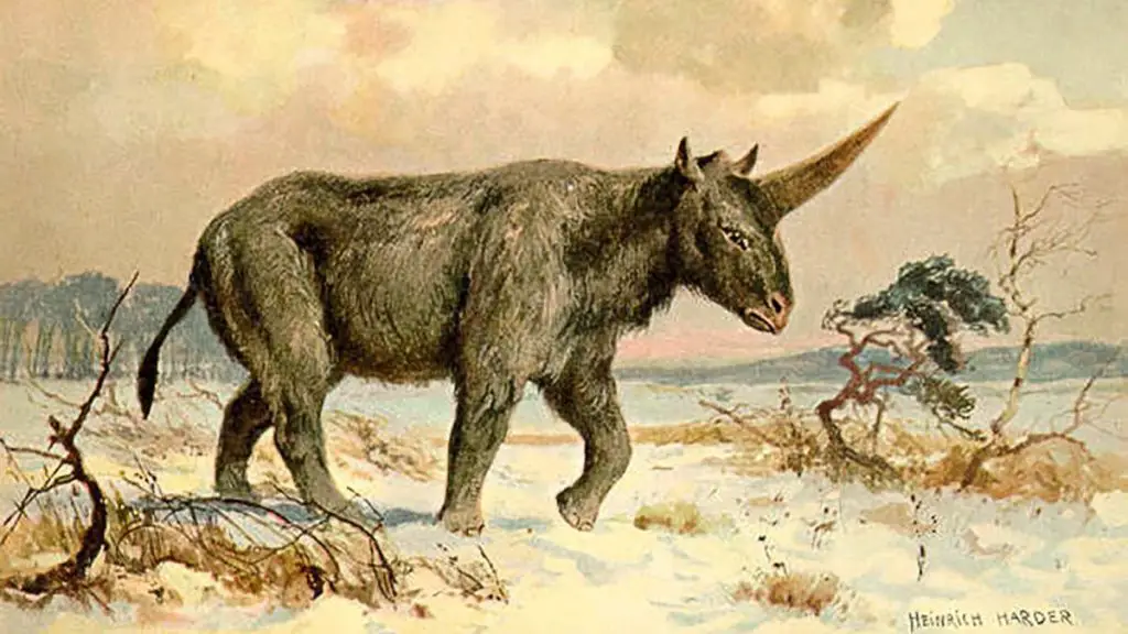 عکس | کشف فسیل‌های باستانی تک‌شاخ در منطقه‌ای دورافتاده در ارتفاعات اسکاتلند