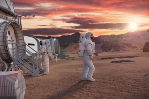 وقتی پلاستیک تبدیل به استیک می‌شود / عکس