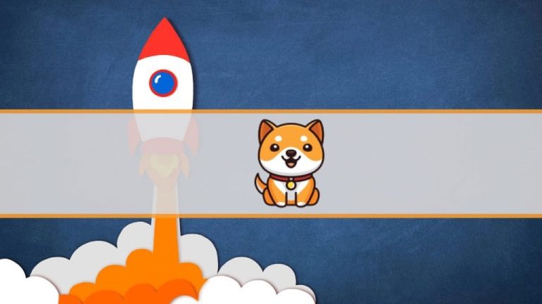 افزایش ۲۳ درصدی بی بی دوج همزمان با اعلام انتشار پورتال جدید