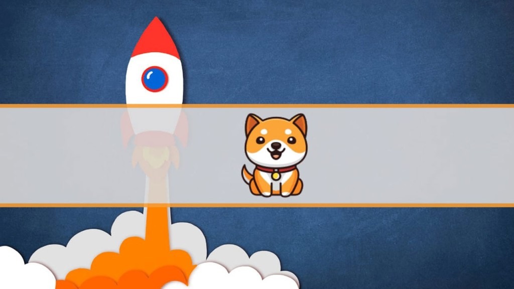 افزایش ۲۳ درصدی بی بی دوج همزمان با اعلام انتشار پورتال جدید