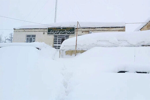 ببینید | وضعیت جالب توجه یک پیکان بعد از ۲ هفته دفن شدن در برف‌های کوهرنگ!