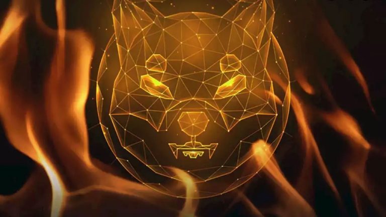 توسعه‌دهنده شیبا اینو از طرح‌ های پلتفرم شیباریوم رونمایی کرد