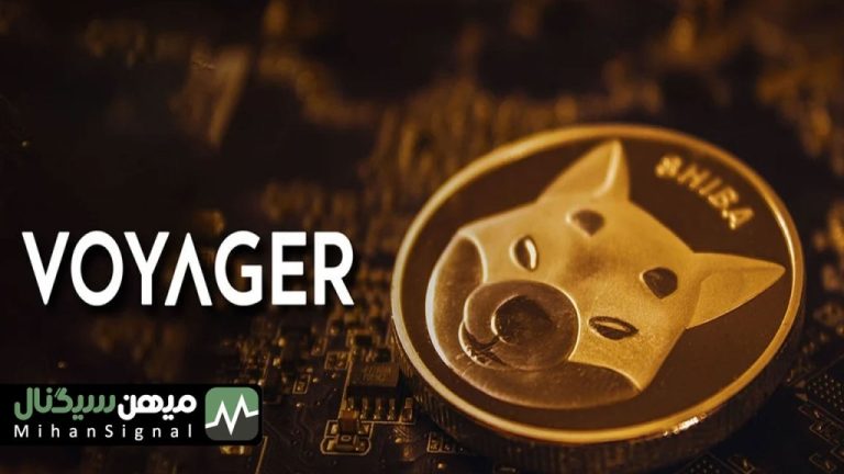 شیبا اینو به انتقال ۲۷۰ میلیارد شیب به صرافی ها واکنش داد