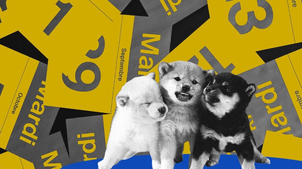 شیبا اینو و Bone در بازار کنونی از دوج کوین پیشی گرفتند