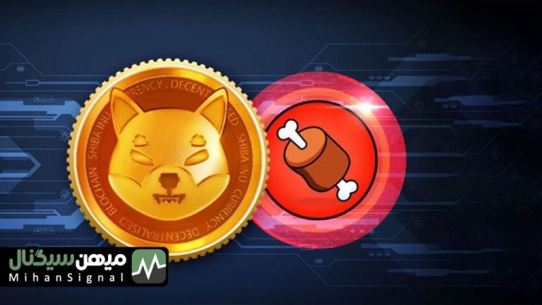 شیباریوم BONE را به یکی از ۱۰۰ کریپتو برتر تبدیل کرد