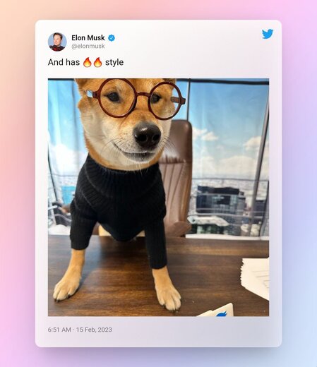 عکس | سگ ایلان ماسک مدیرعامل توییتر شد
