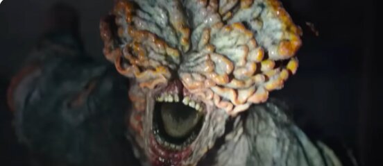 قارچی که به جا کشتن، کنترلتان می‌کند!