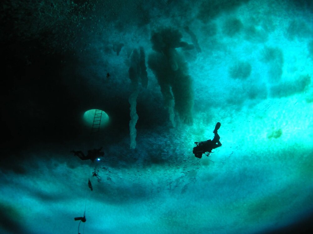 ظاهر شدن «انگشتمرگ» در اعماق تاریکی!/ عکس