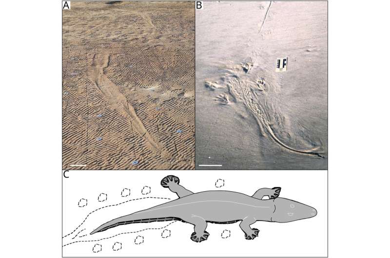 ظاهر عجیب اجداد کروکودیلها/ عکس