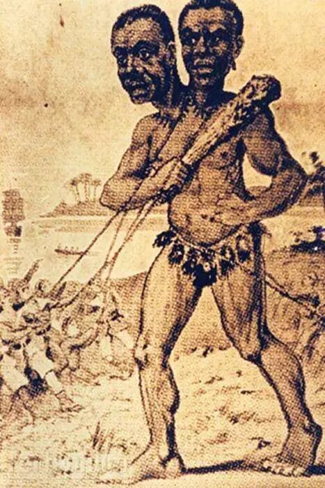 کاپدوا؛ سند حیات غولها در کره زمین/ عکس