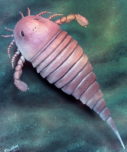 فسیل ترسناک‌ترین جانور دریایی در چین کشف شد