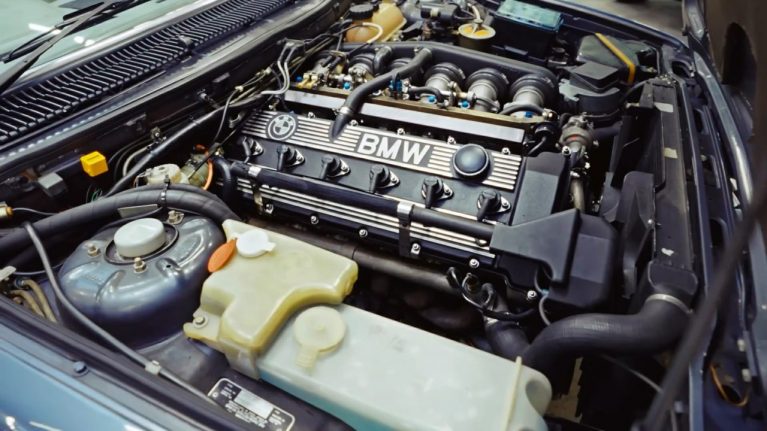 باید خیلی خوششانس باشید تا این باموها را ببینید!/ عکس