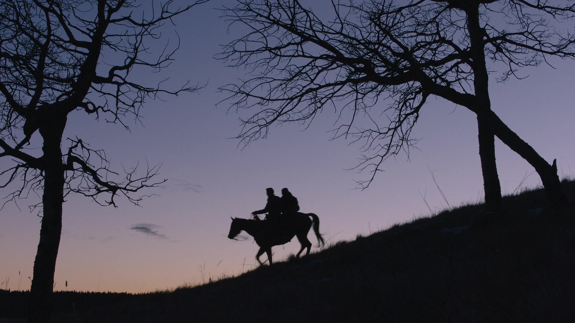 توقف تولید فصل ۲ سریال The Last of Us تحت تأثیر اعتصاب
نویسندگان