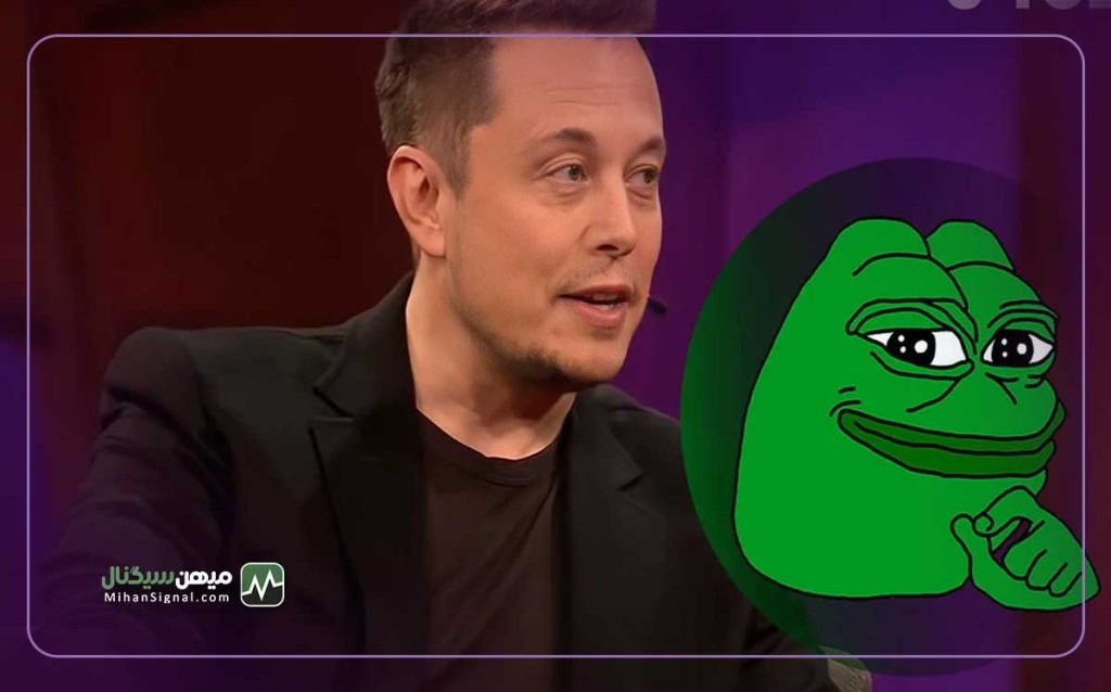 توییت جدید میم ایلان ماسک  باعث رالی ۵۴ درصدی پپه شد