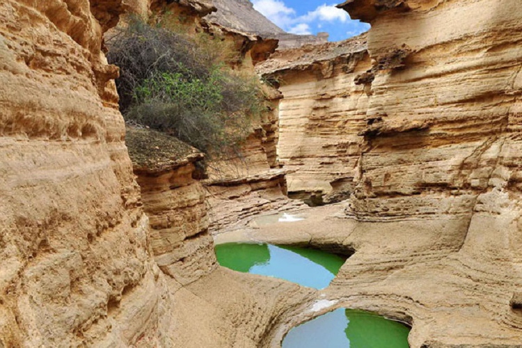 خرید بلیط ارزان قشم از فلای تودی