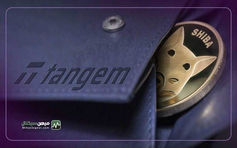 روز بزرگ شیبا اینو با این دو رویداد مهم آغاز شد