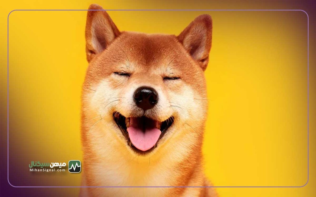 شبکه آزمایشی لایه ۲ شیبا اینو موفقیتی دیگر را ثبت کرد