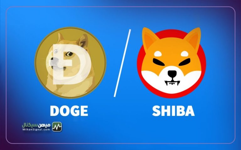 شیبا بهتر است یا دوج کوین؟ کدام سگ قوی تر است!