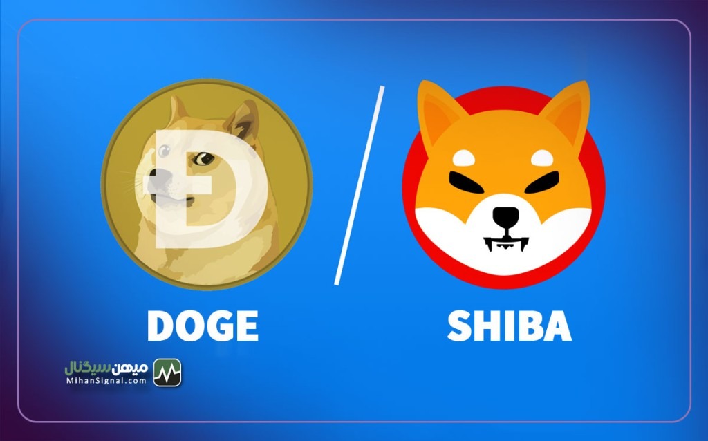 شیبا بهتر است یا دوج کوین؟ کدام سگ قوی تر است!