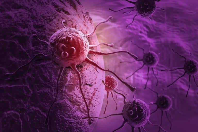 قدیمیترین مورد شناختهشده سرطان در انسان متعلق به چه زمانی
است؟