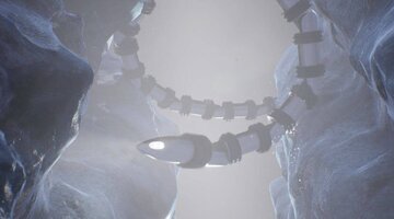 مار غولپیکر به فضا فرستاده میشود/ عکس