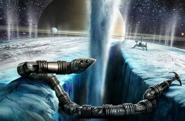 مار غولپیکر به فضا فرستاده میشود/ عکس