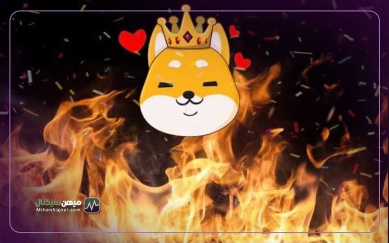 منتظر رالی ۳۸۴ درصدی توکن سوزی شیبا اینو باشید