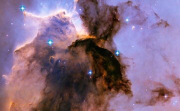 نگاهی عمیق به مشهورترین و باشکوهترین عقاب آسمان/ عکس