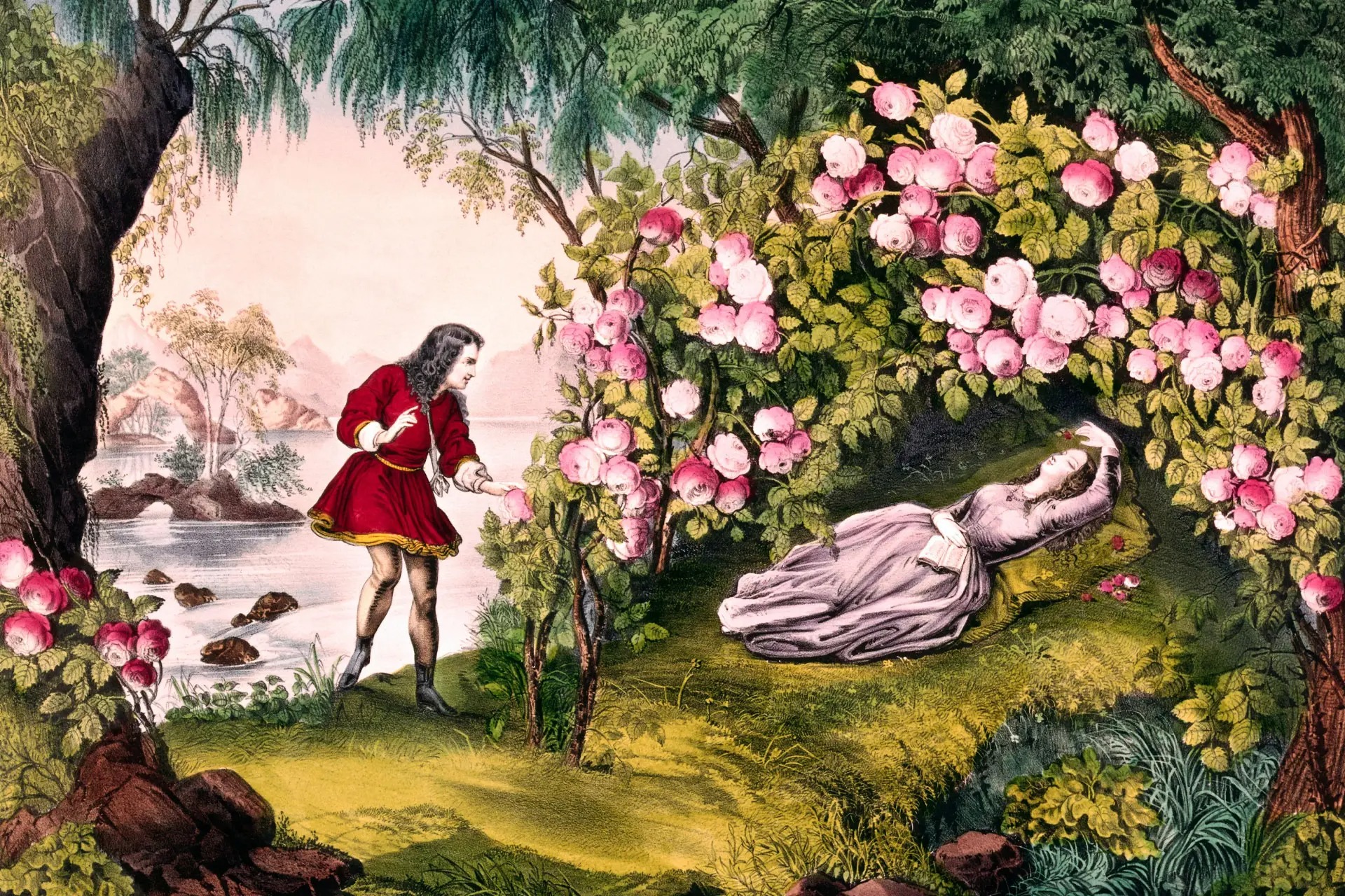 چرا مسئله «زیبای خفته» ریاضیدان‌ها‌ را بیدار نگه‌داشته
است؟