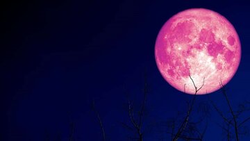 امشب «ماه‌ توت‌فرنگی» را از دست ندهید!/ عکس