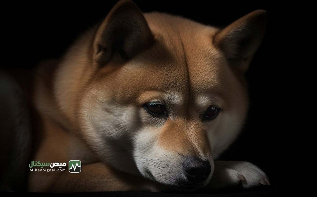 تحلیل قیمت شیبا اینو: کف قیمت دو ساله با هجوم خرس ها | ۲۰ خرداد