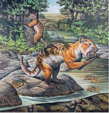 مرگ دردناک خرس بیچاره با علاقه به غذایی خطرناک / عکس