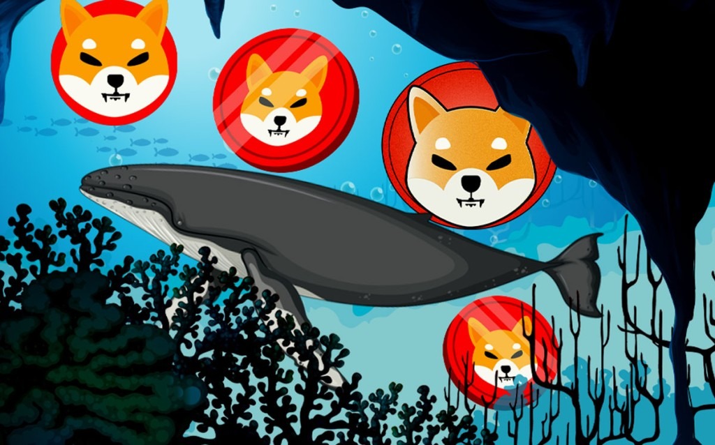 شیبا اینو زنگ های هشدار را به صدا در می‌آورد!