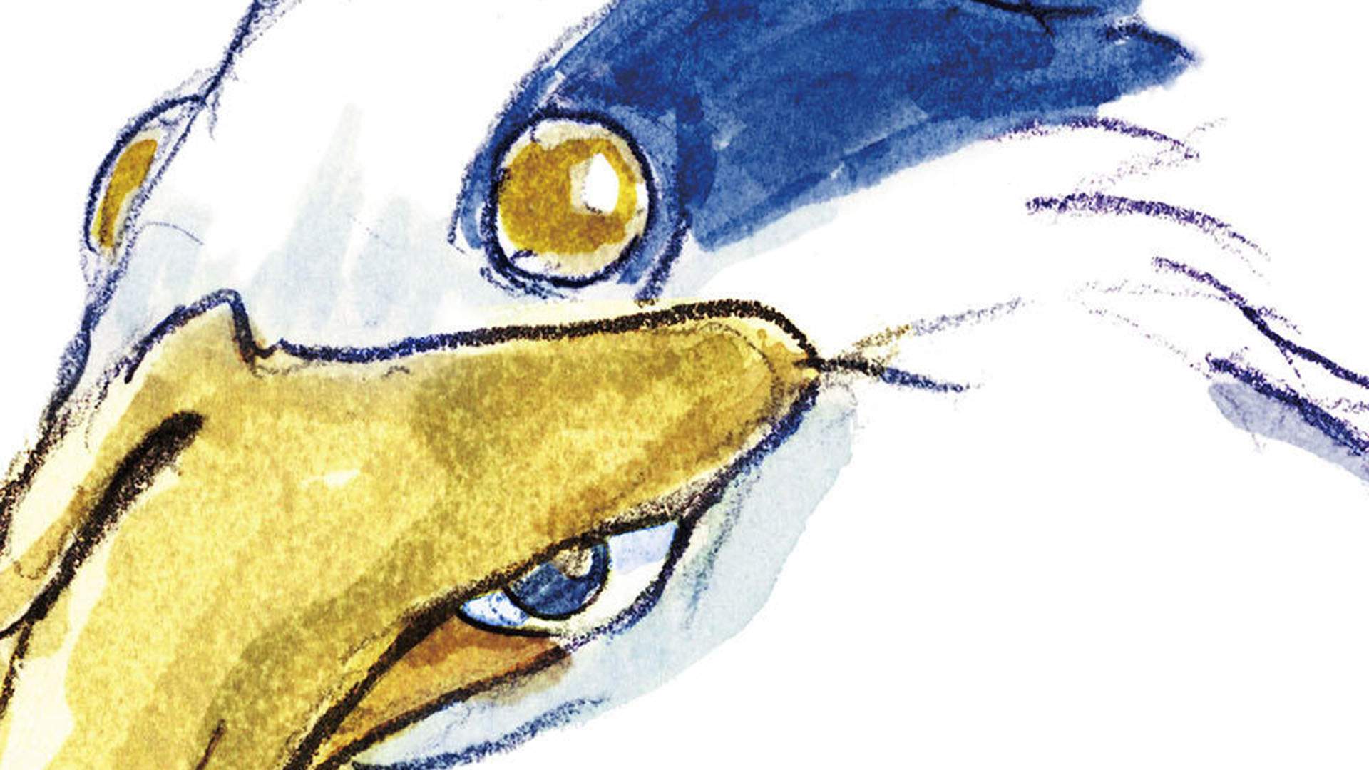 عدم انتشار تریلری برای انیمه How Do You Live، اثر جدید
هایائو میازاکی