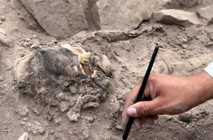 معمای مومیایی مدفون زیر کوهی از زباله/ عکس