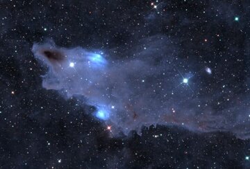 هیچ دریایی آنقدر بزرگ نیست که این کوسه عظیم‌الجثه را در خود جا دهد / عکس