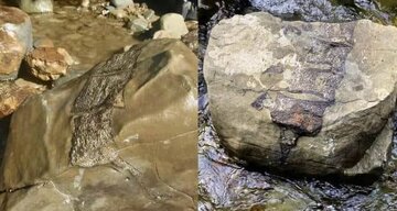 پیدا شدن بقایای موجودات غولپیکر باستانی پس از طوفان/ عکس