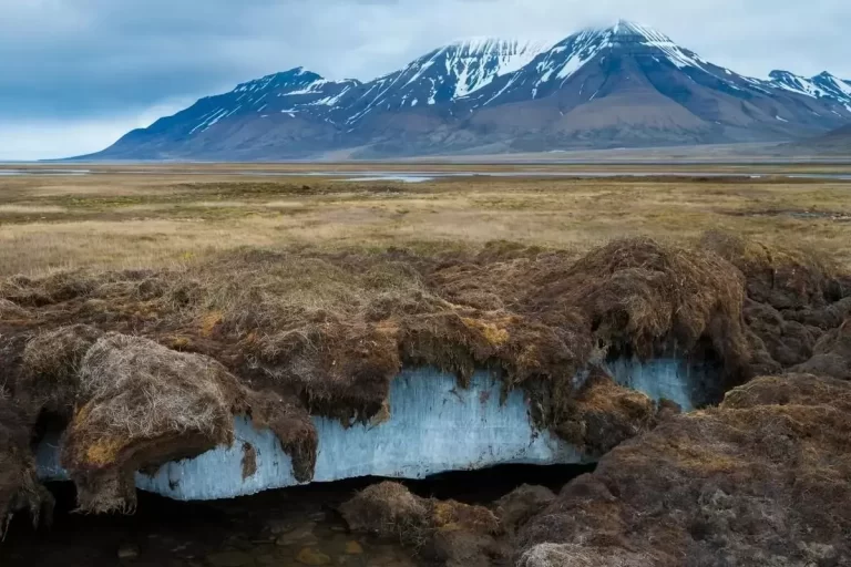 ۸ ویروس زامبی که دانشمندان از خاکهای منجمد استخراج
کردهاند